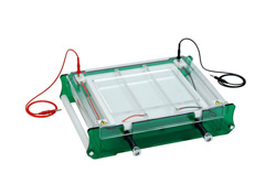 Isoelectric Focusing System 1st Dimension 