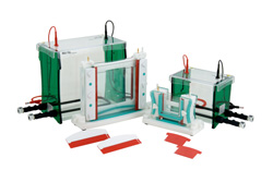 Isoelectric Focusing System 2nd Dimension