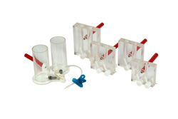 Gradient Gel Electrophoresis